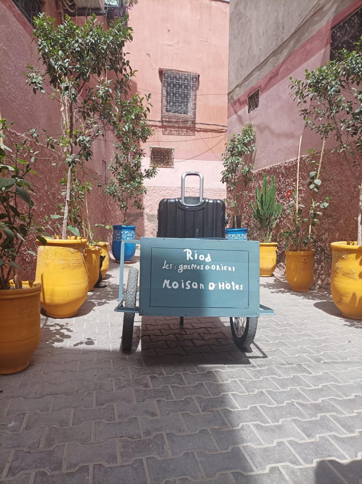 Riad Les Gazelles D'Orient Marrakech มาร์ราเกช ภายนอก รูปภาพ